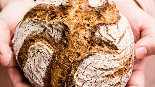 wie erkennt man gutes brot