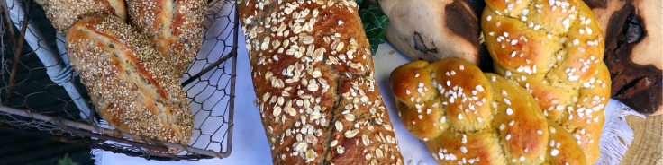 der-charme-des-dinkels-backkurs