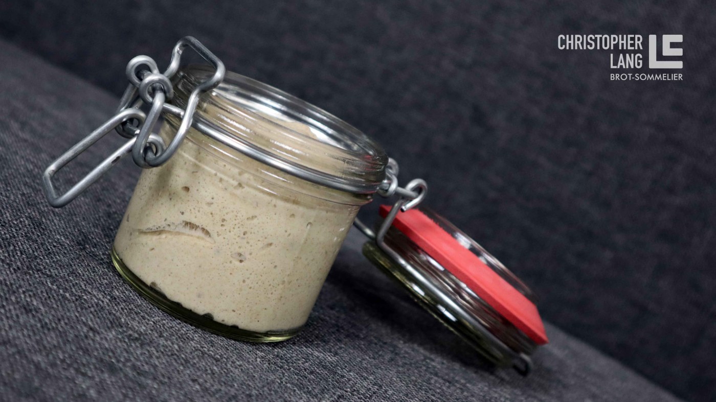 Sauerteig Lebensphasen
